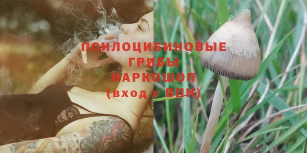 спиды Майский