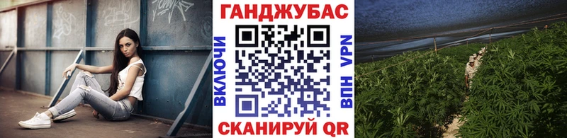 Шишки марихуана планчик  Купить закладки  Павлово 